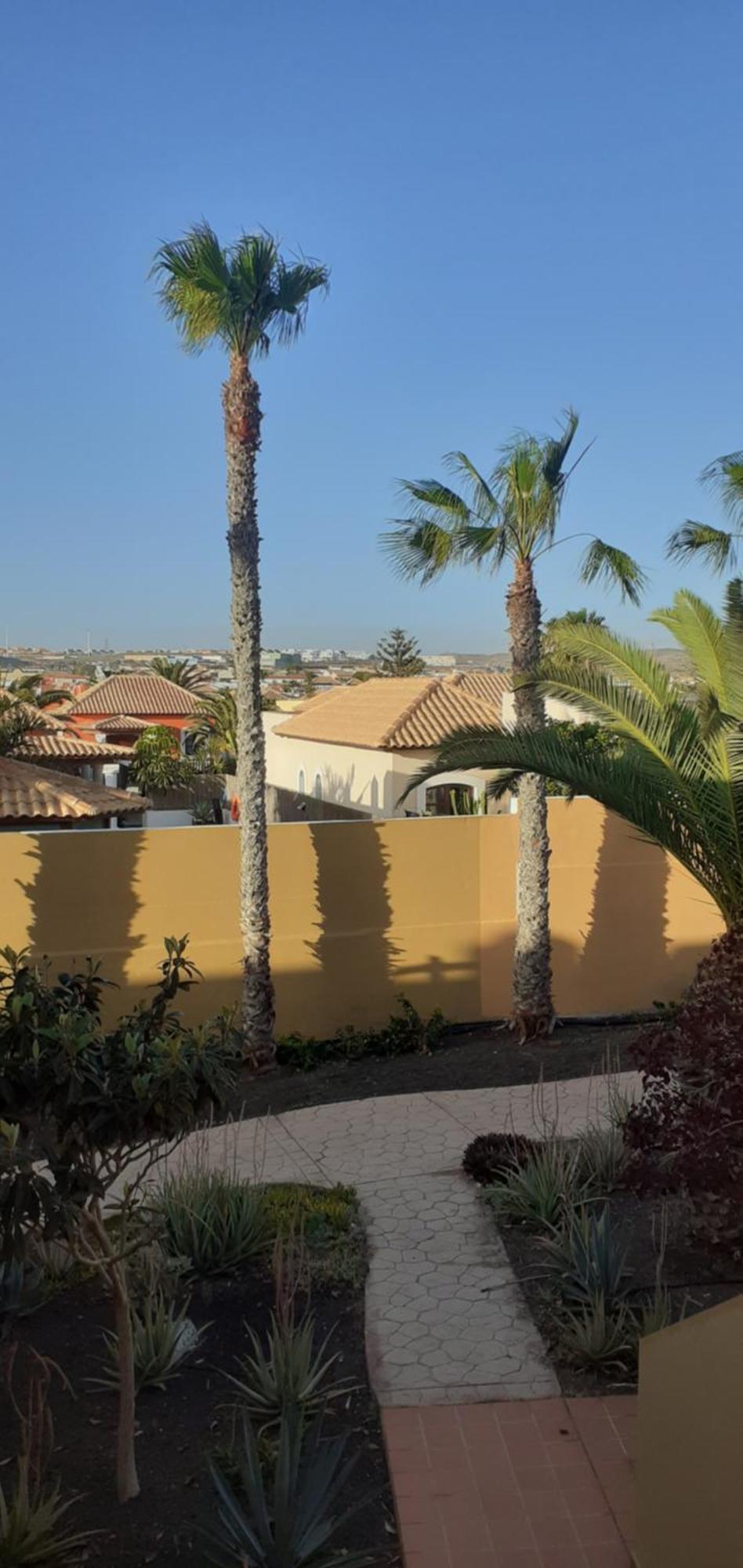 Oasis Waves House Papagayo Apartment Коралео Екстериор снимка